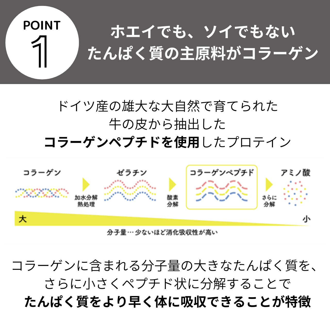 CURVY LINE PROTEIN 600g×2袋セット