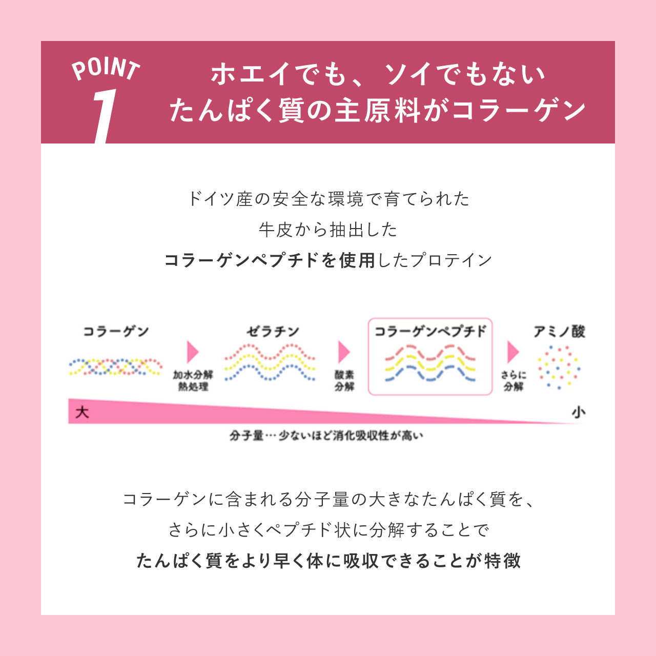 【定期購入】CURVY LINE PROTEIN ストロベリー 600g